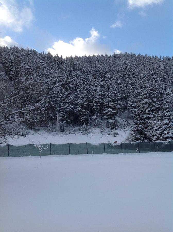 Villa Paradise Beli Iszkar Kültér fotó