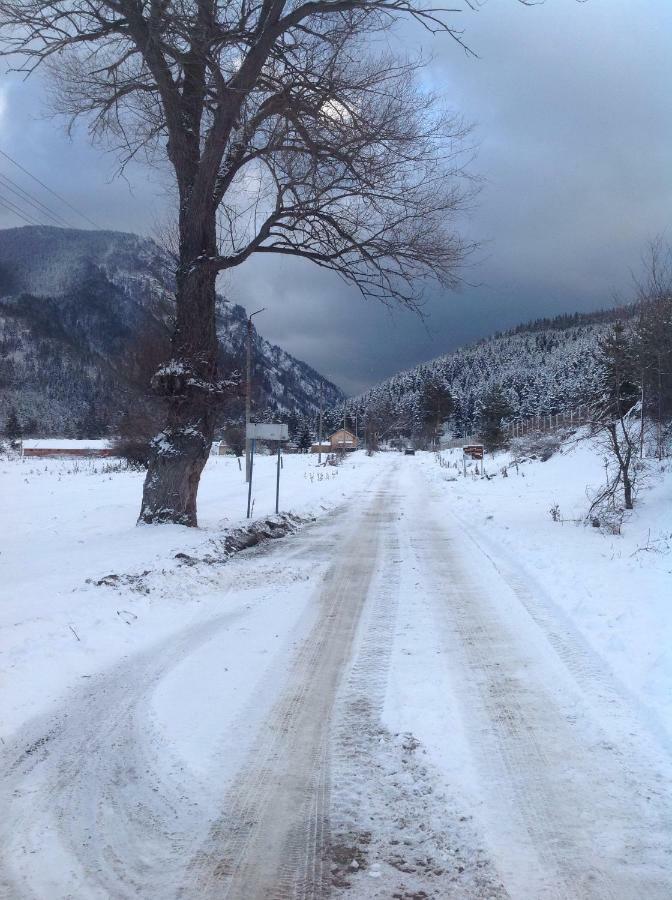 Villa Paradise Beli Iszkar Kültér fotó